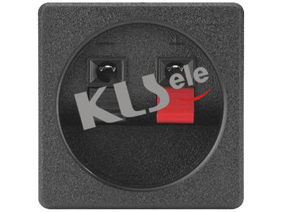 KLS1-WP-2P-05A      Spring Terminals Speaker Video Connectors